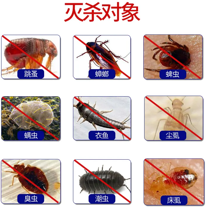 跳蚤、蟑螂、蜱虫、虱子、臭虫杀灭率检测